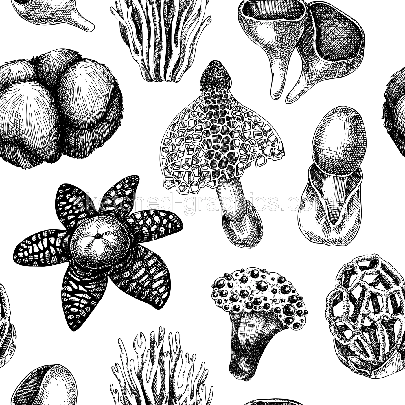 Exotic mushroom background. Hand-drawn fungi illustration in vintage style. Exotic forest plant seamless pattern. Weird mushroom sketches, texture design Illustration